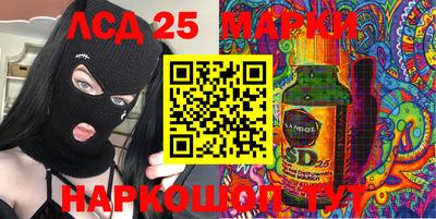 амф Кандалакша