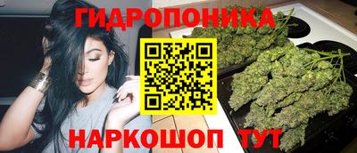 амф Кандалакша