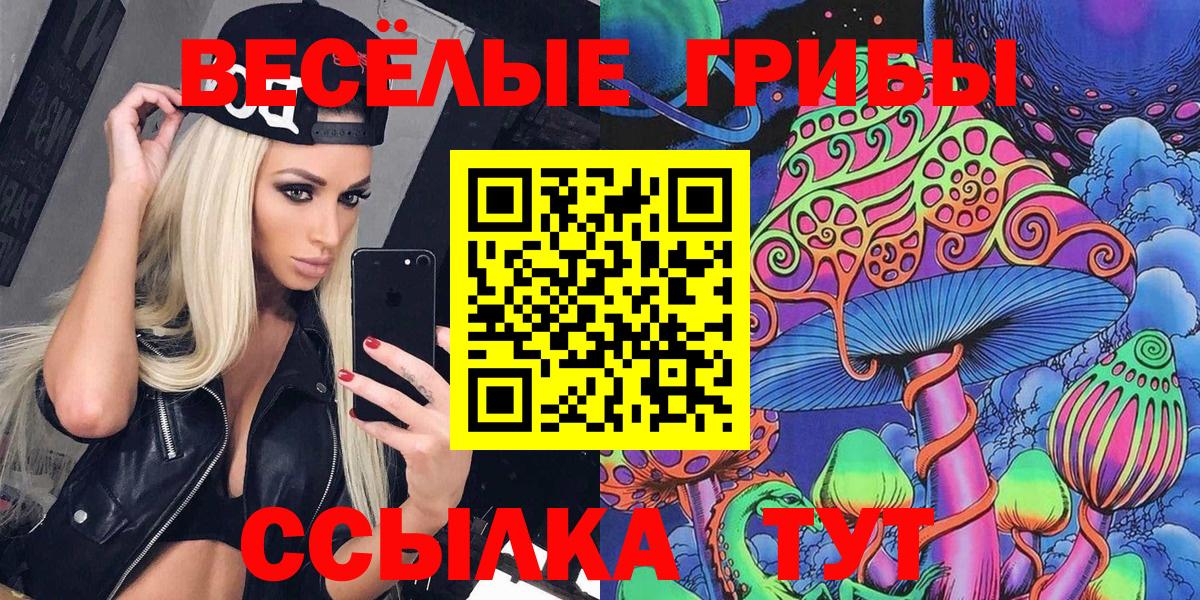Псилоцибиновые грибы Psilocybine cubensis Кудрово
