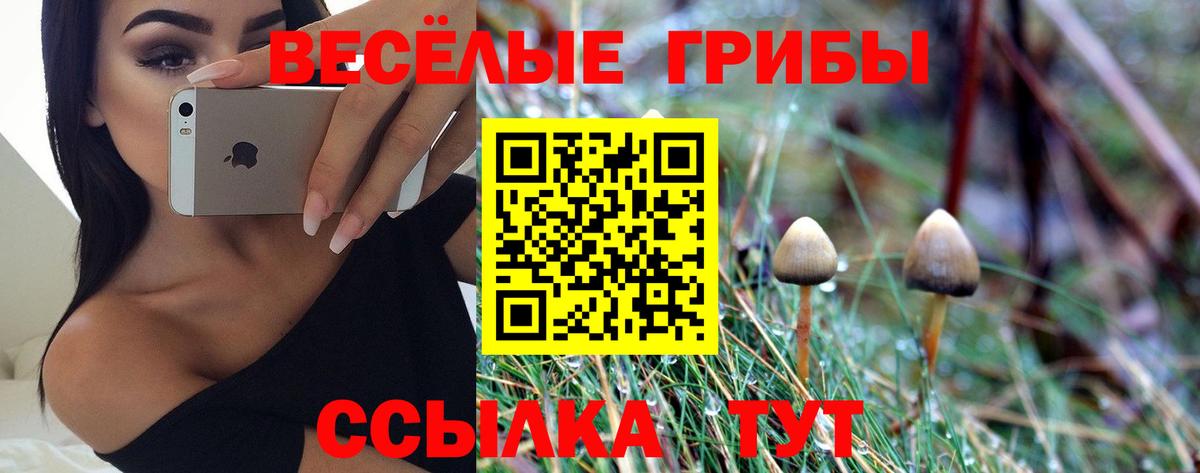 Кудрово  Псилоцибиновые грибы Psilocybe  Вход с VPN 